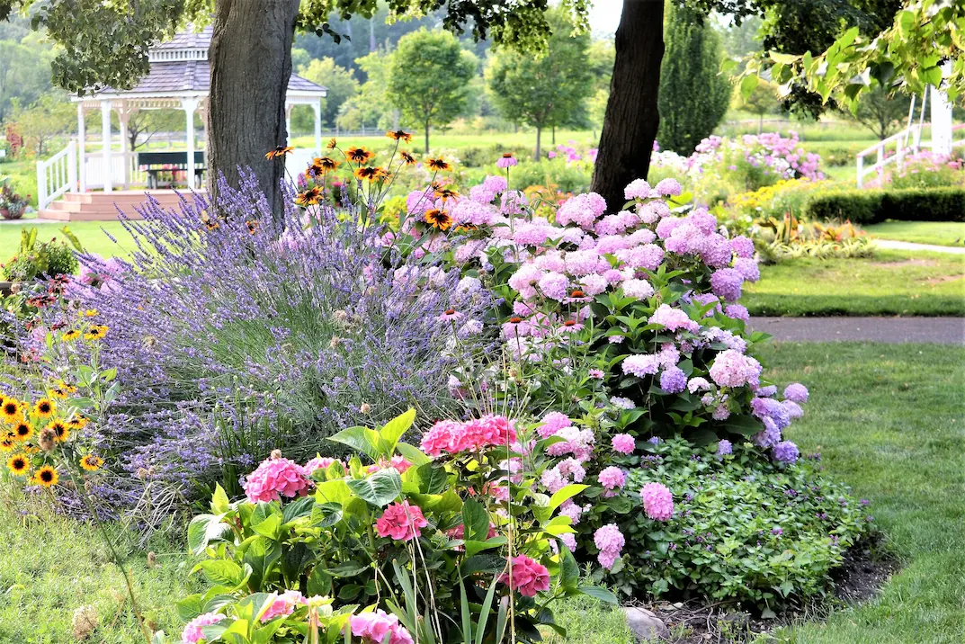 Massif floral