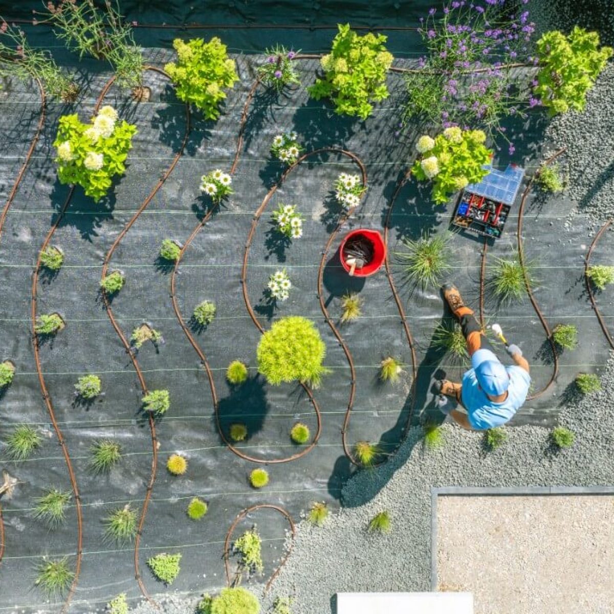 gardener-tending-to-plants-in-a-designed-landscape-2025-03-15-17-38-46-utc-7RR83HD.jpg